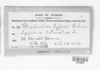 Image Associated With the Occurence